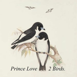 Artwork for track: 2 Birds by Prince Love