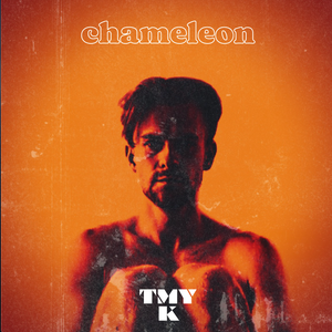 Artwork for track: Chameleon by TMYK