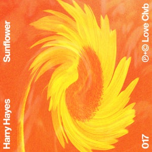 Artwork for track: Sunflower by HARRY HAYES