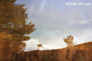 Artwork for track: Me and the Sea by Mosaic Mosaic
