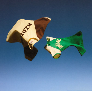 Artwork for track: Do It Again by Beefheart & McQuinn