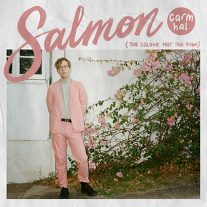 Artwork for track: Salmon (The Colour Not the Fish) by carm hal.