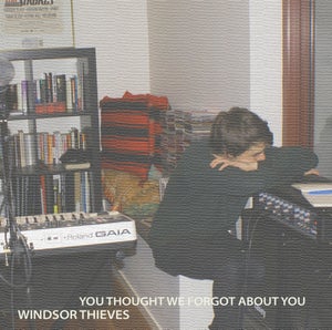 Artwork for track: Too Easily by Windsor Thieves