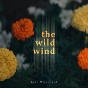 Artwork for track: The Wild Wind by Eden Mulholland