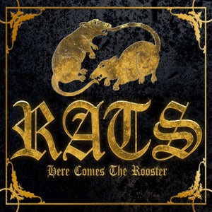 Artwork for track: Rats by Here comes the Rooster