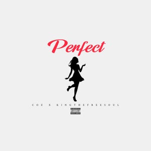 Artwork for track: Perfect (ft. KingTheFreeSoul by COZ