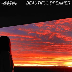 Artwork for track: Beautiful Dreamer by Joey Tuckshop