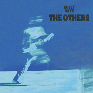 Artwork for track: The Others by Gully Days
