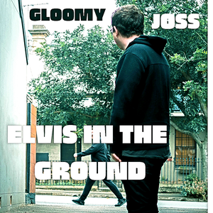Artwork for track: Elvis In The Ground by Gloomy Joss