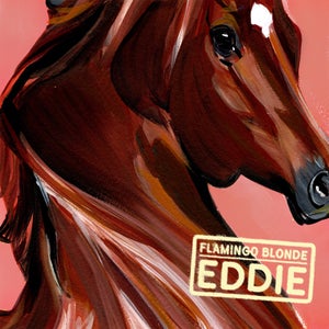 Artwork for track: Eddie by flamingo blonde