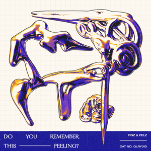 Artwork for track: Do You Remember This Feeling? by Pinz & Pelz