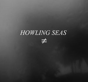 Artwork for track: Hilary by HOWLING SEAS