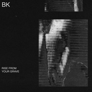Artwork for track: Rise From Your Grave by Buzz Kull