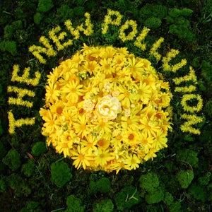 Artwork for track: Animal by The New Pollution