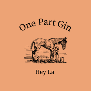 Artwork for track: Hey La by One Part Gin