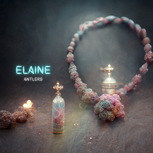 Artwork for track: Elaine by Antlers