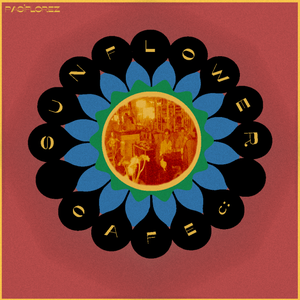 Artwork for track: Sunflower Café by Pasiflorez
