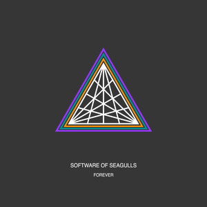 Artwork for track: FOREVER by Software of Seagulls
