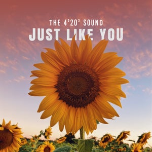 Artwork for track: Just Like You by The 4'20' Sound