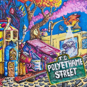 Artwork for track: Polyethame Street by Turtle Custard