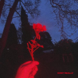 Artwork for track: Dont Really by goldsocks