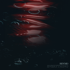 Artwork for track: Everything by Revoid