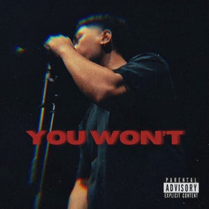 Artwork for track: You Won't by JJ4K