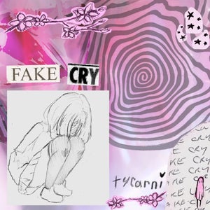 Artwork for track: fake cry by Tycarni