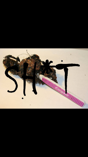 Artwork for track: Ha Ha (Suck Sh*t) by Secondhand Toothbrush