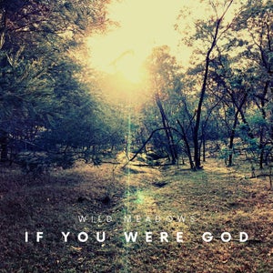 Artwork for track: If You Were God by Wild Meadows