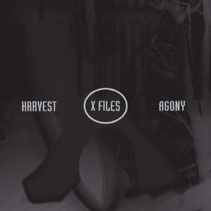 Artwork for track: X FILES by AGONY