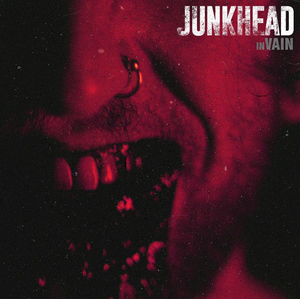 Artwork for track: inVAIN by JunkHead