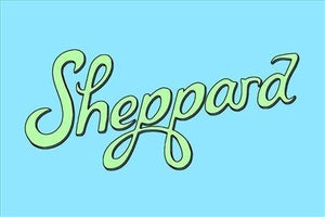 Artwork for track: I'm Not A Whore by Sheppard