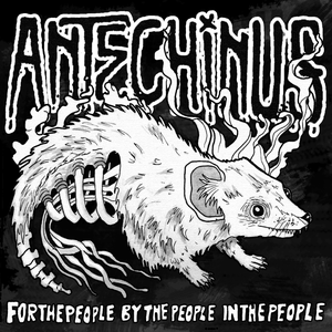 Artwork for track: Kick Down The Doors by Antechinus
