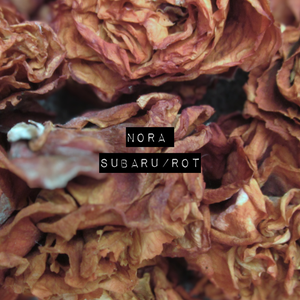 Artwork for track: subaru by NORA