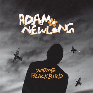 Artwork for track: Singing Blackbird by Adam Newling
