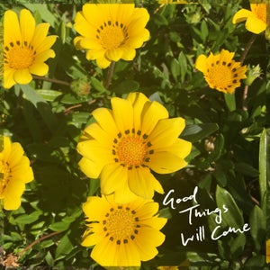 Artwork for track: Good Things Will Come by Emily Soon