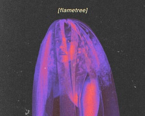 Artwork for track: Flametree ft. Polyamory by Geowulf