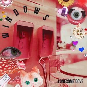 Artwork for track: WINDOWS by Lonesome Dove