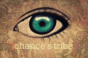 Artwork for track: Stones Fall by Chance's Tribe