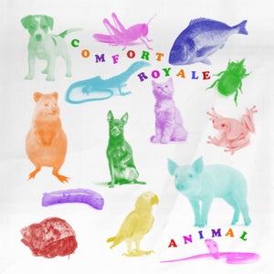 Artwork for track: Animal by Comfort Royale