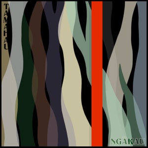 Artwork for track: Ngākau by Tamahau