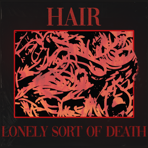 Artwork for track: Hair by Lonely Sort of Death