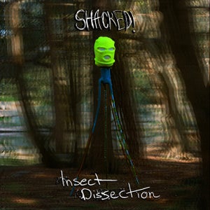 Artwork for track: Insect Dissection by Shacked!