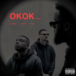 Artwork for track: OKOK (WORK) by VOLDY