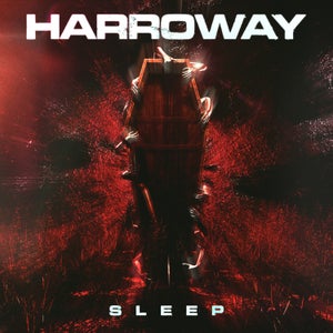 Artwork for track: Sleep by Harroway
