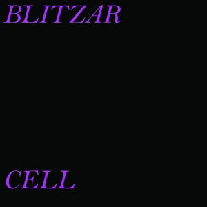 Artwork for track: Seize It by Blitzar Cell