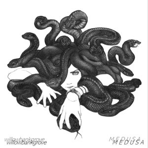 Artwork for track: Medusa by Willowbank Grove