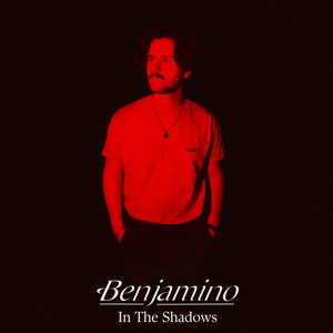 Artwork for track: In The Shadows by Benjamino