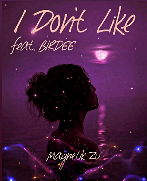 Artwork for track: I Don't Like (feat. Birdee) by Magnetik Zu